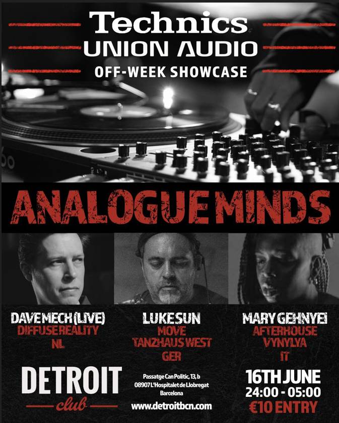 ANALOGUE MINDS